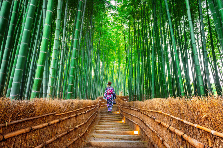 Bambusskove