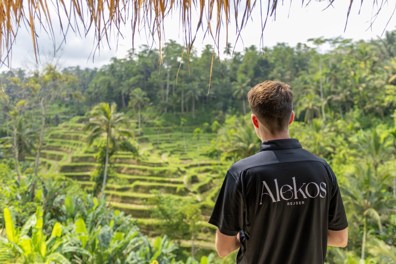 Rejsende kigger ud over rismarkerne på Bali