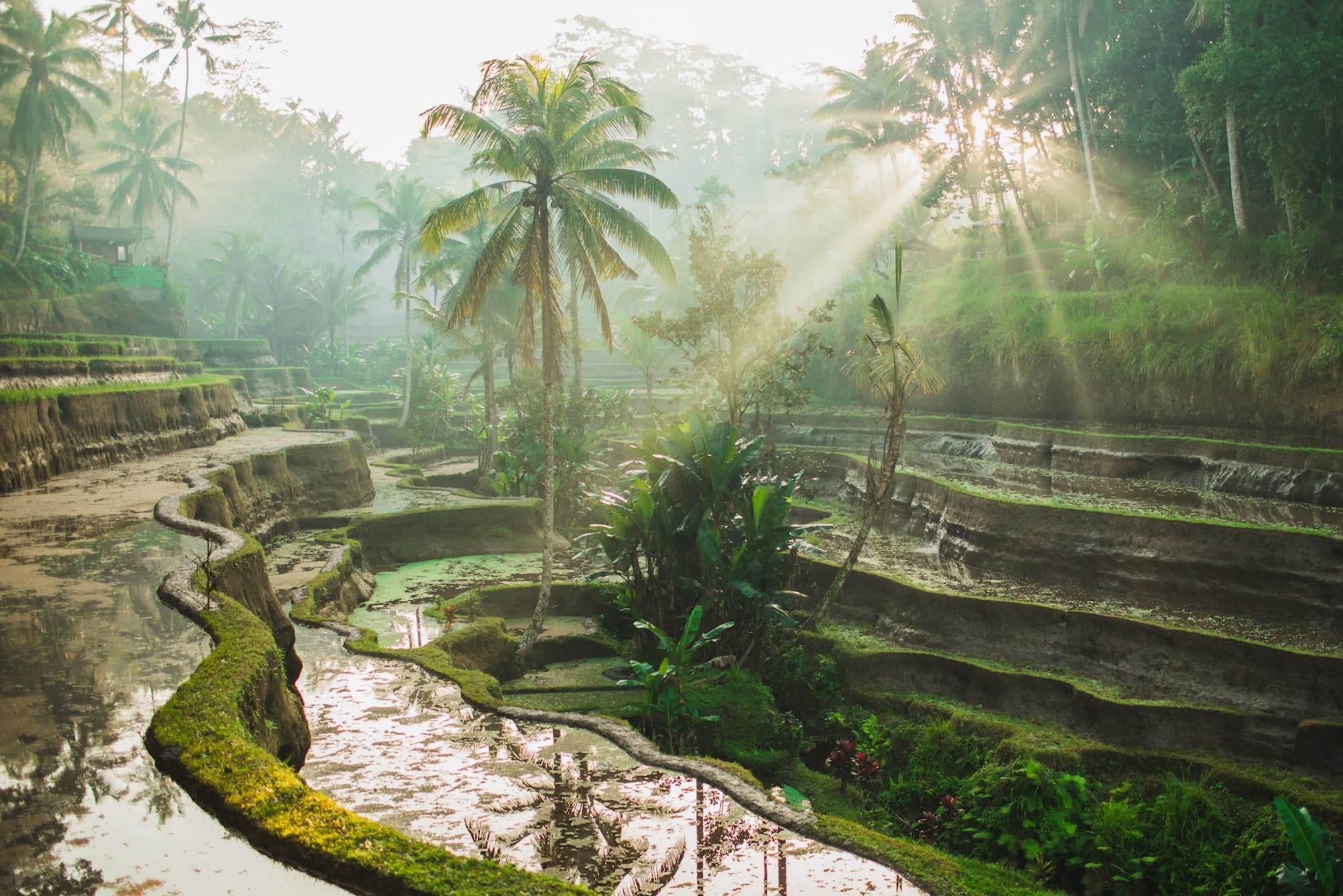Bali