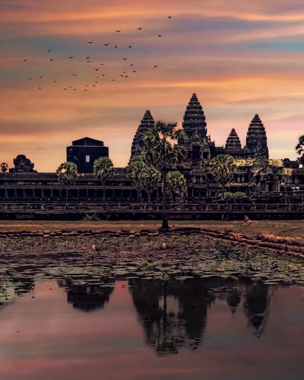 Angkor Wat spejler sig i vandet ved solopgang