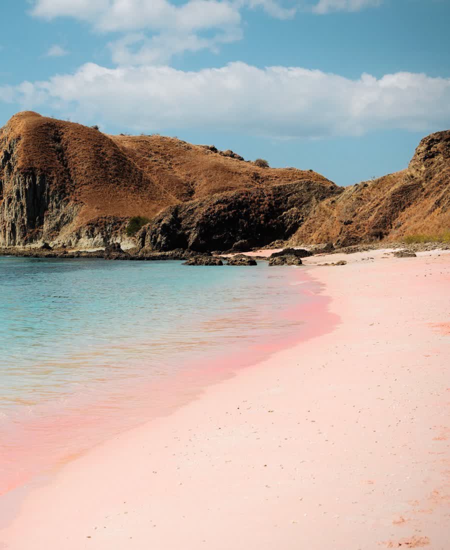 Pink Beach med lyserødt sand og turkist vand i Komodo