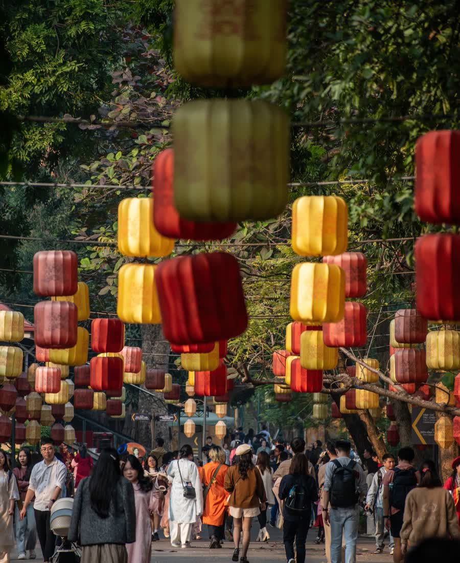 Røde og gule lanterner i Hanoi